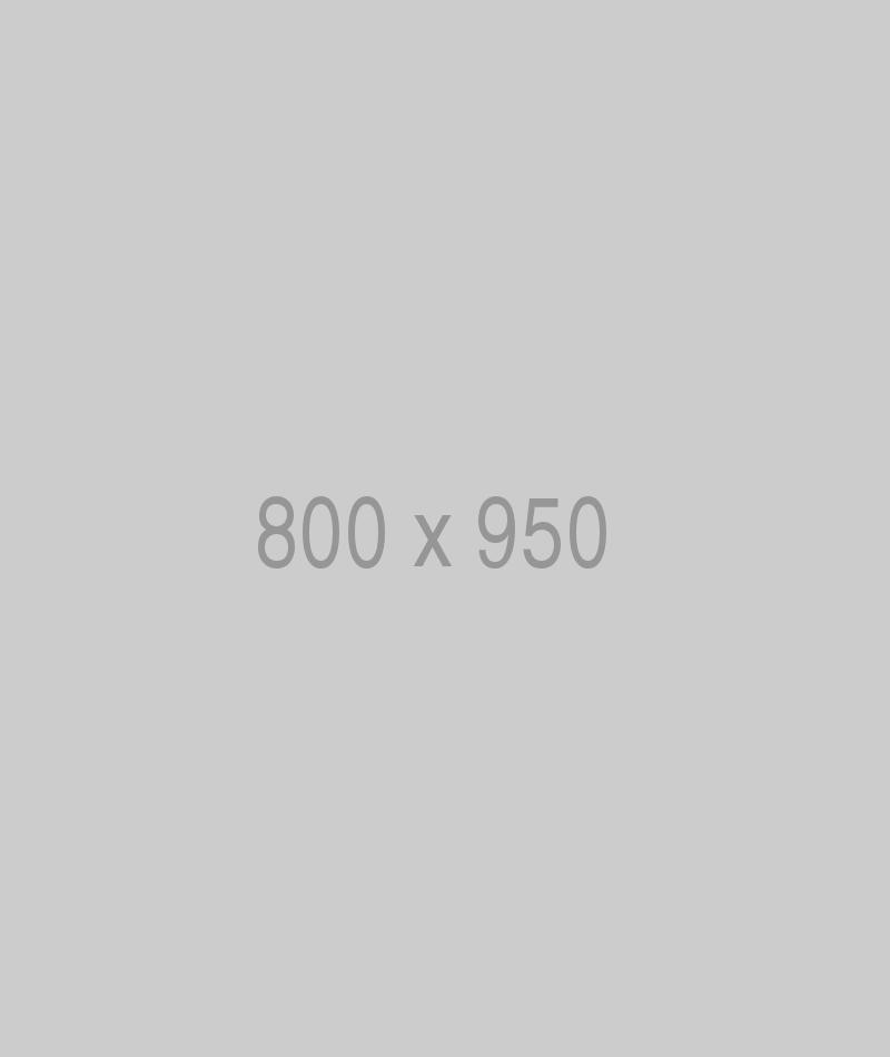 litho-800x950-ph