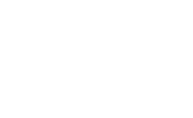 bartender seagull